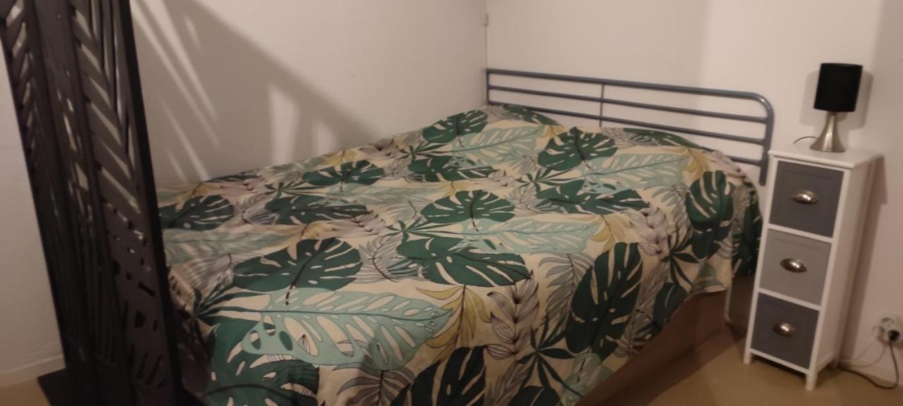 Pour Cure Et Ski Apartment Bagnères-de-Luchon Екстериор снимка